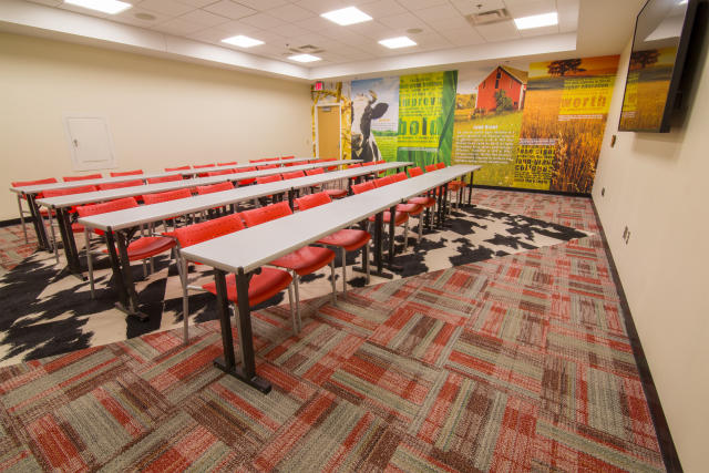 Maudine Cow Room - Classroom