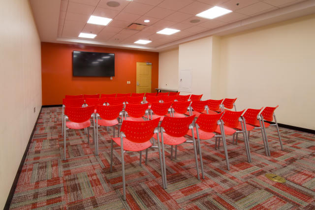 Milestones Room - Theater